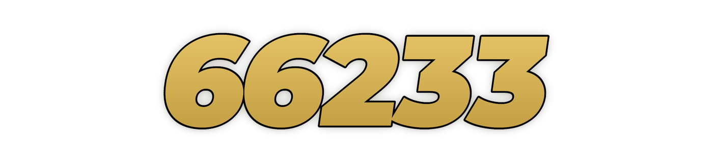 66233